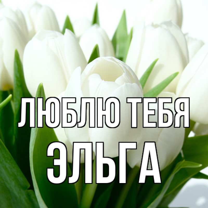 Картинка Люблю тебя, Эльга