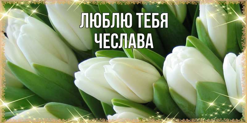 Картинка Люблю тебя, Чеслава