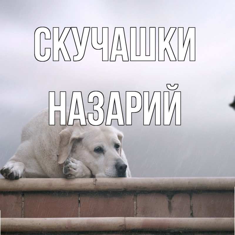Картинка Скучашки, Назарий