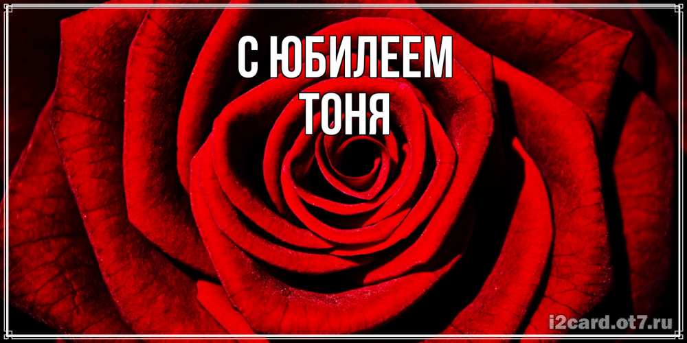 Открытка на каждый день с именем, Тоня C юбилеем алая роза Прикольная открытка с пожеланием онлайн скачать бесплатно 
