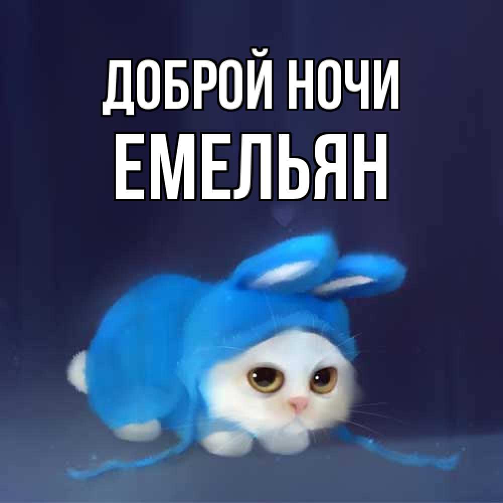 Открытка на каждый день с именем, Емельян Доброй ночи кот в голубом костюме кролика с ушками Прикольная открытка с пожеланием онлайн скачать бесплатно 