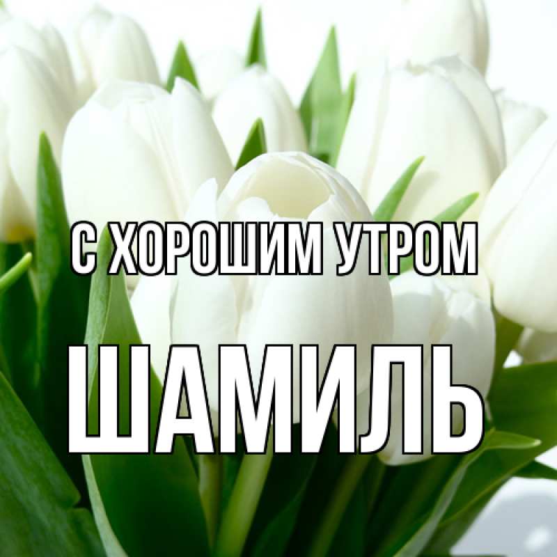 Картинка С хорошим утром, Шамиль