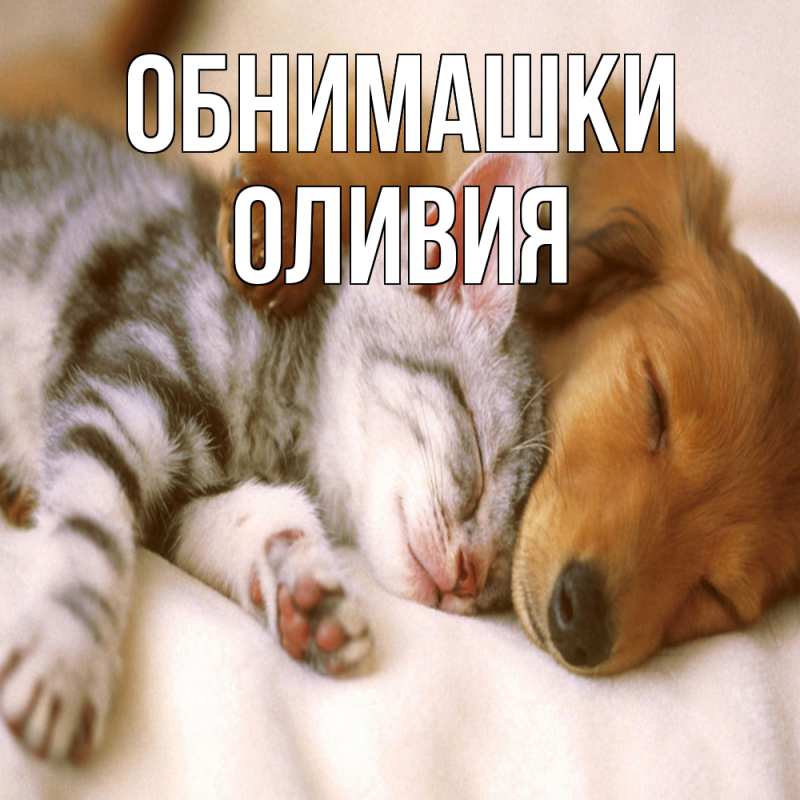 Открытка с именем, Оливия, Обнимашки