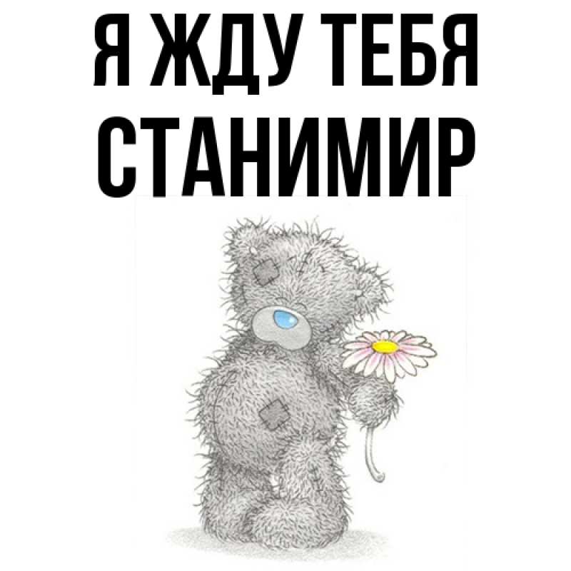 Картинка Я жду тебя, Станимир