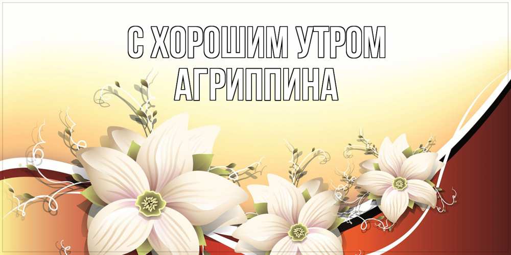 Открытка на каждый день с именем, Агриппина С хорошим утром пожелания доброго утра Прикольная открытка с пожеланием онлайн скачать бесплатно 