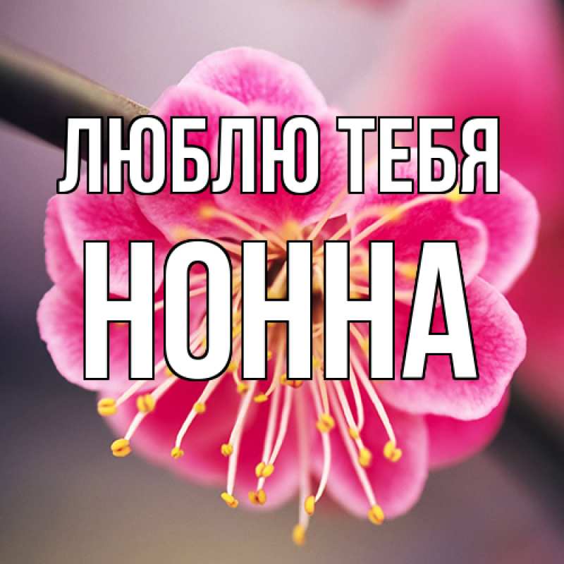 Картинка Люблю тебя, Нонна