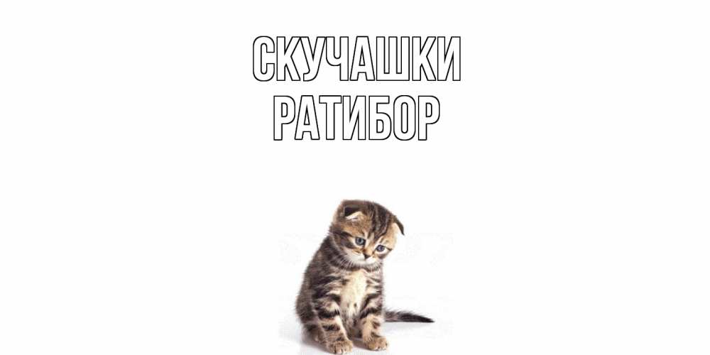 Открытка на каждый день с именем, Ратибор Скучашки кот Прикольная открытка с пожеланием онлайн скачать бесплатно 