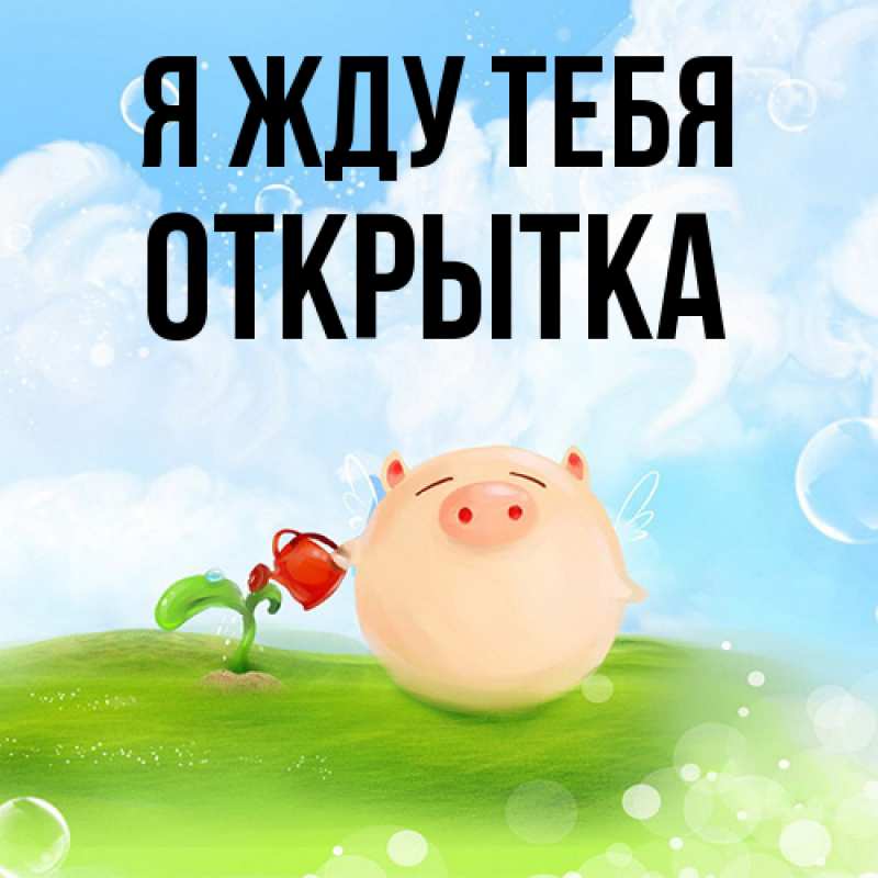 Картинка Я жду тебя, открытка