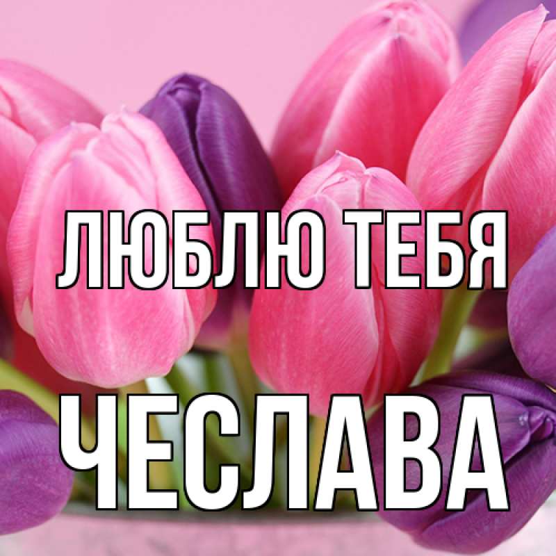 Картинка Люблю тебя, Чеслава