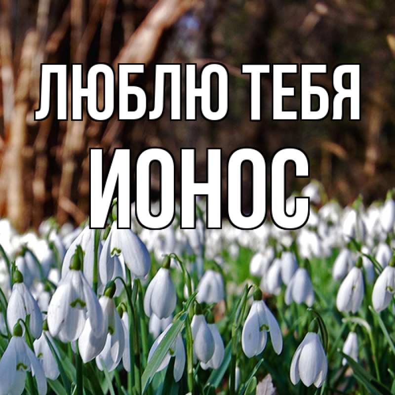 Картинка Люблю тебя, Ионос