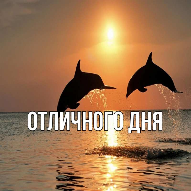 Картинка Обнимашки, Ева