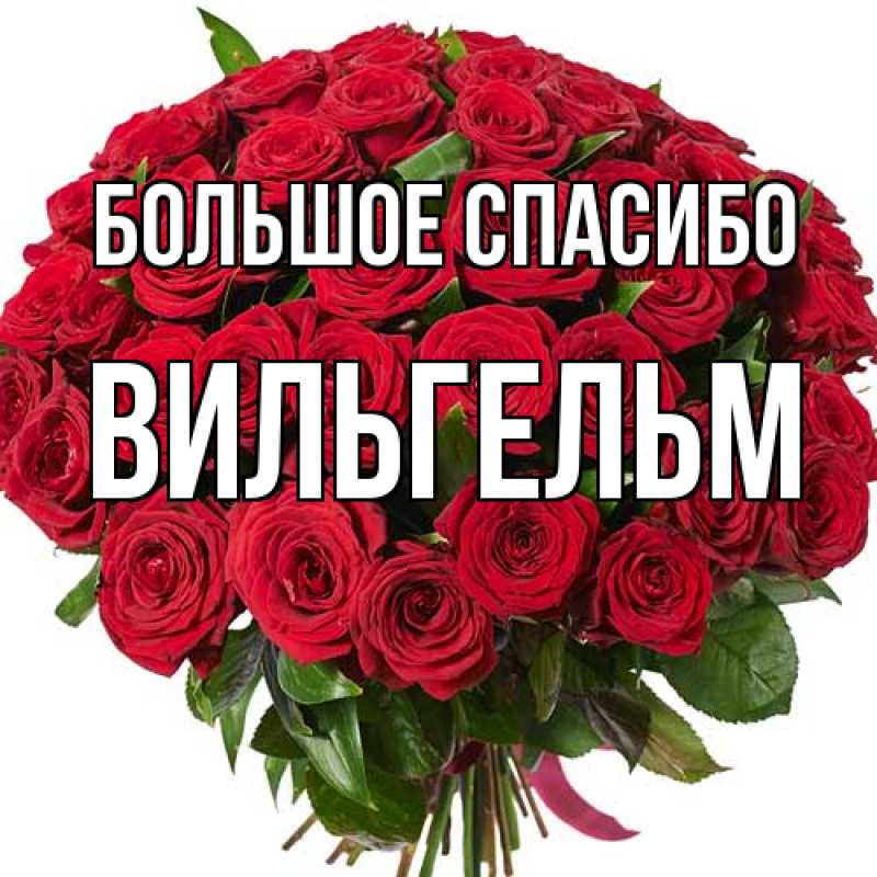 Картинка Большое спасибо, Вильгельм