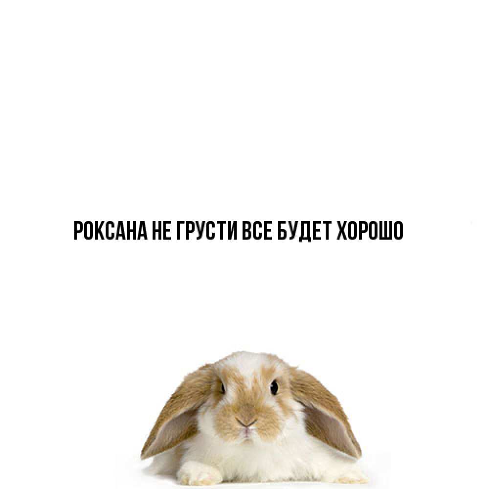 Открытка на каждый день с именем, Роксана Не грусти все будет хорошо коричнево белый заяц с большими ушками Прикольная открытка с пожеланием онлайн скачать бесплатно 