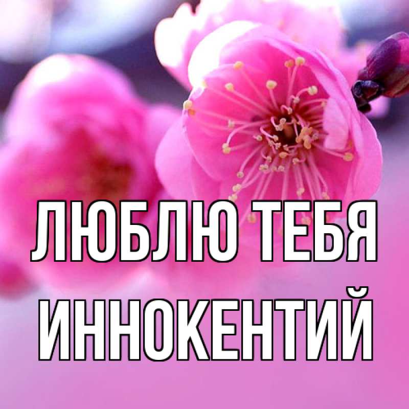 Открытка с именем, Иннокентий, Люблю тебя