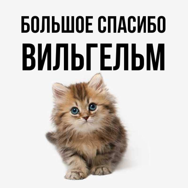 Картинка Большое спасибо, Вильгельм