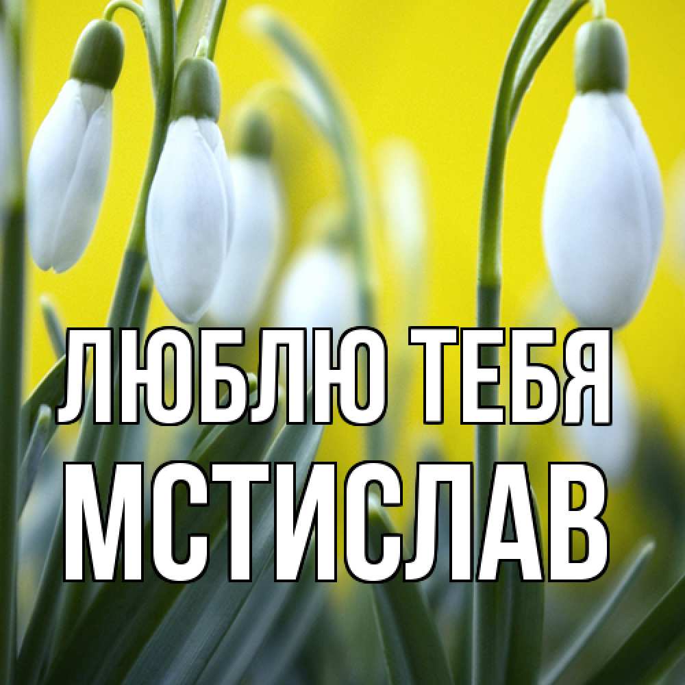 Открытка на каждый день с именем, Мстислав Люблю тебя весенние цветы Прикольная открытка с пожеланием онлайн скачать бесплатно 