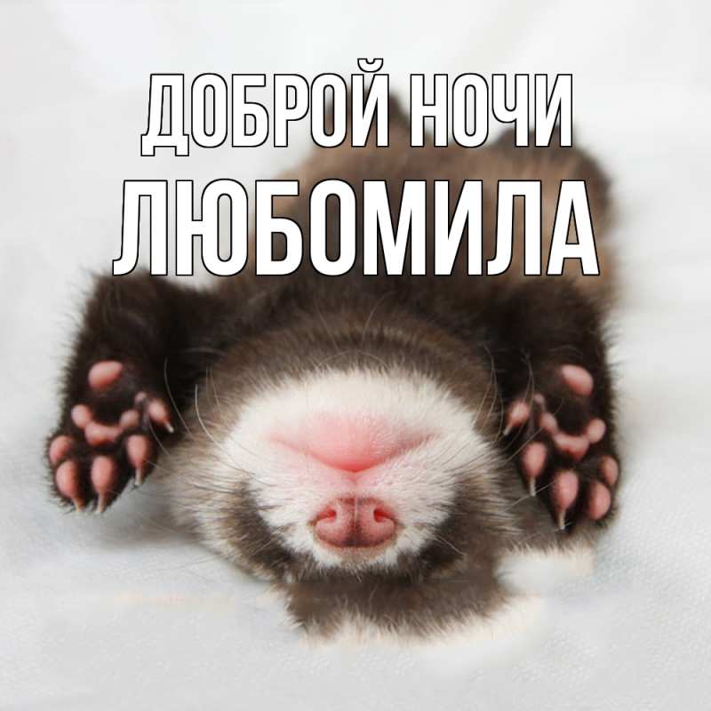 Картинка Доброй ночи, Любомила