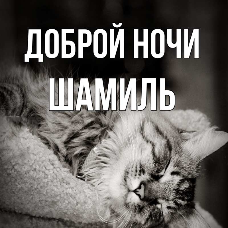 Картинка Доброй ночи, Шамиль