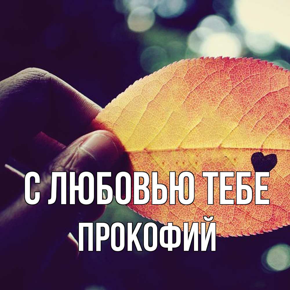 Открытка на каждый день с именем, Прокофий С любовью тебе держу лист Прикольная открытка с пожеланием онлайн скачать бесплатно 