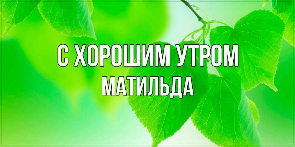 Открытка на каждый день с именем, Матильда С хорошим утром доброе утро с березовыми листьями Прикольная открытка с пожеланием онлайн скачать бесплатно 