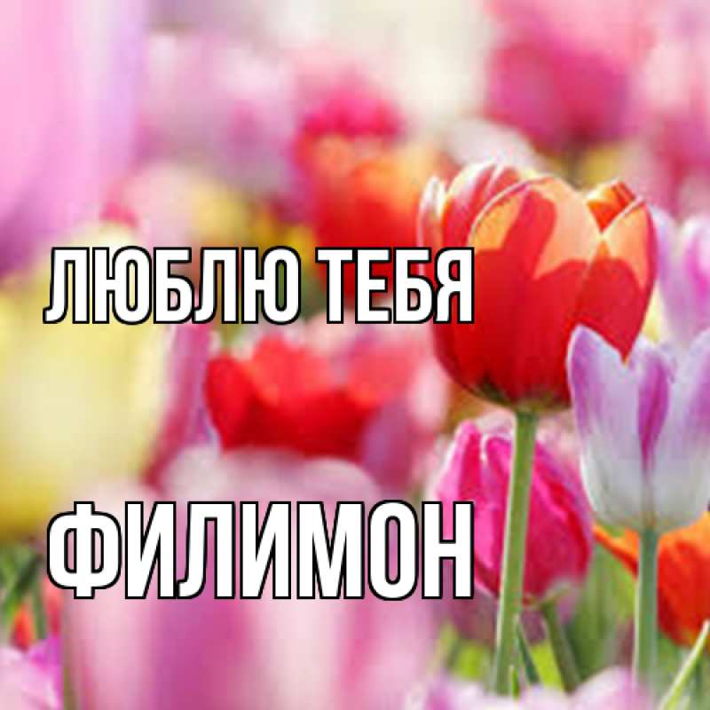 Картинка Люблю тебя, Филимон