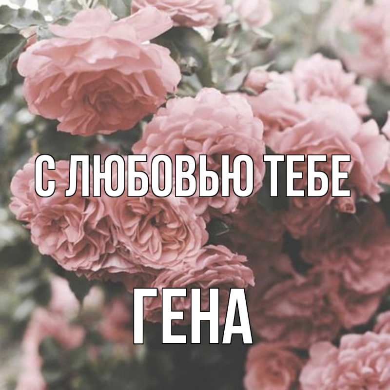 Картинка С любовью тебе, Гена