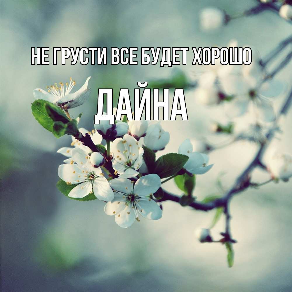 Открытка на каждый день с именем, Дайна Не грусти все будет хорошо яблоня в цвету 1 Прикольная открытка с пожеланием онлайн скачать бесплатно 