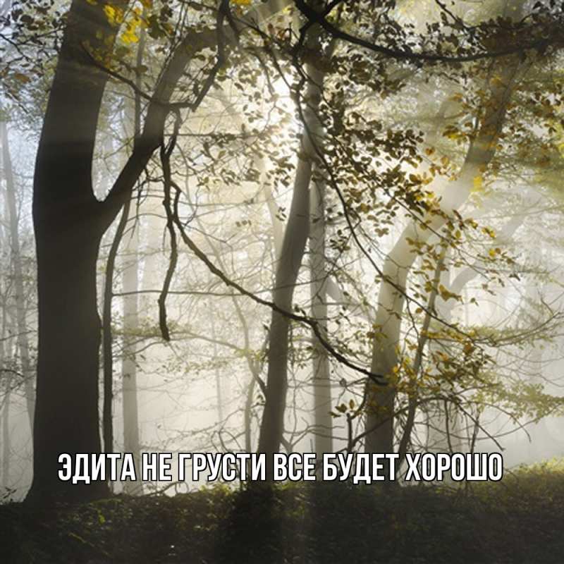 Картинка Не грусти, все будет хорошо, Эдита