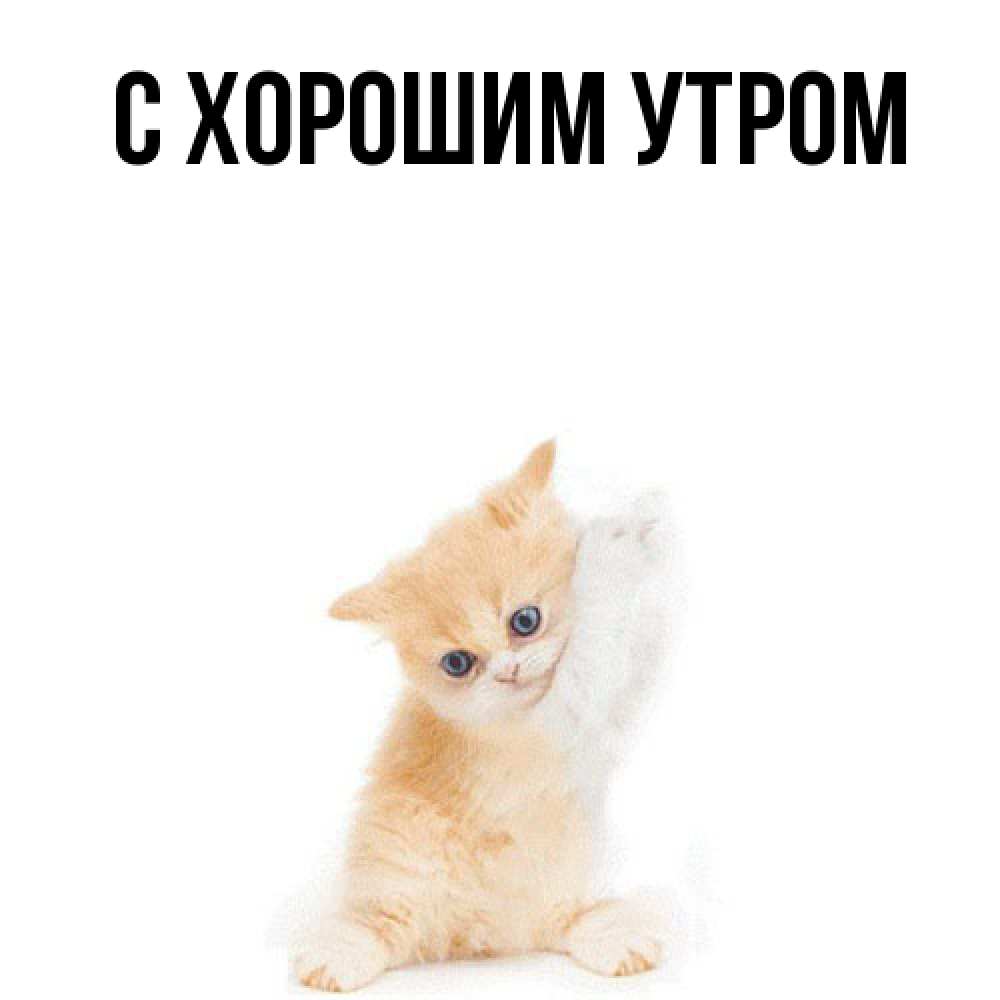 Открытка на каждый день с именем, Весна Обнимашки я хочу очень скорее обнимаешек Прикольная открытка с пожеланием онлайн скачать бесплатно 