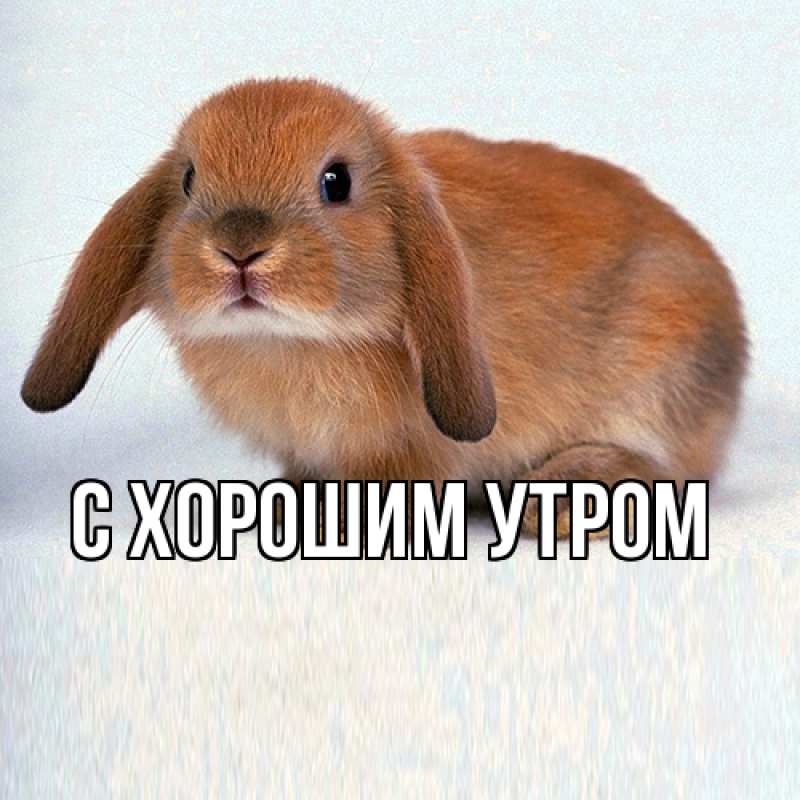 Картинка Я жду тебя, Тина