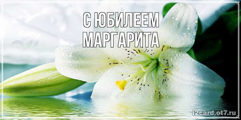 Картинка C юбилеем, Маргарита