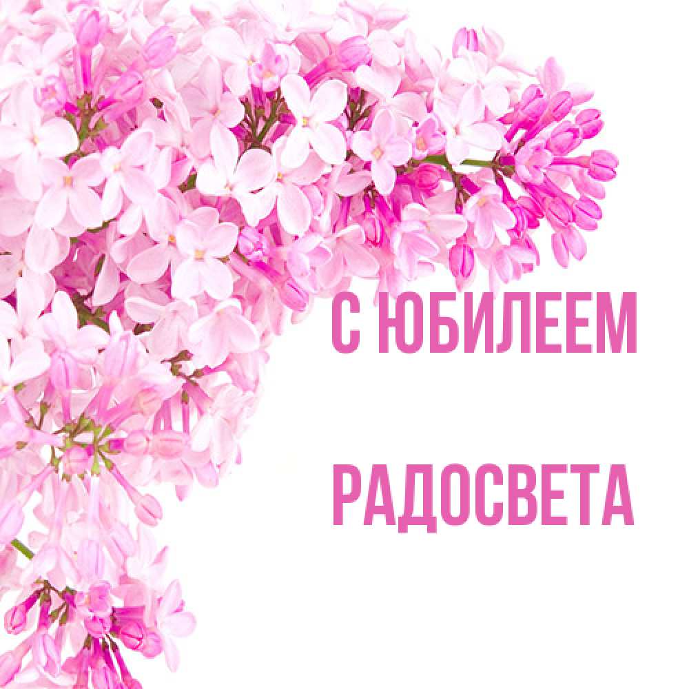 Открытка на каждый день с именем, Радосвета C юбилеем Сирень на белом фоне Прикольная открытка с пожеланием онлайн скачать бесплатно 