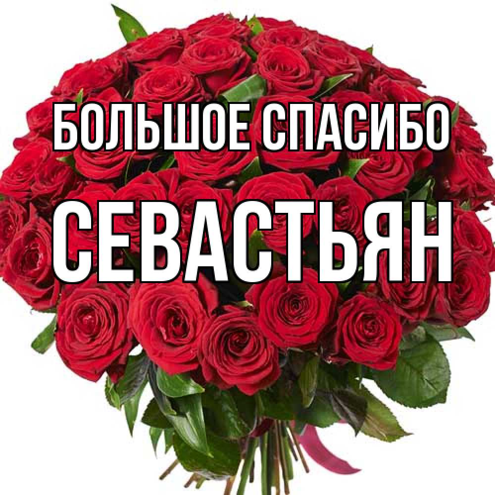 Открытка на каждый день с именем, Севастьян Большое спасибо букет красных роз Прикольная открытка с пожеланием онлайн скачать бесплатно 