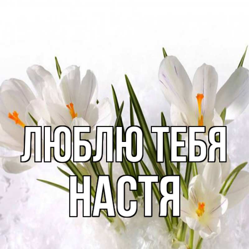 Картинка Люблю тебя, Настя