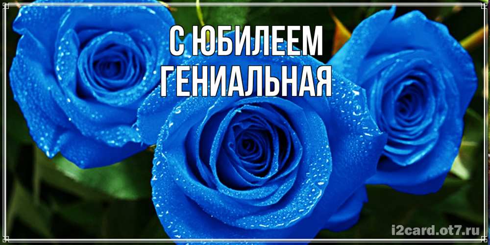 Открытка на каждый день с именем, Гениальная C юбилеем розы с синим цветом Прикольная открытка с пожеланием онлайн скачать бесплатно 