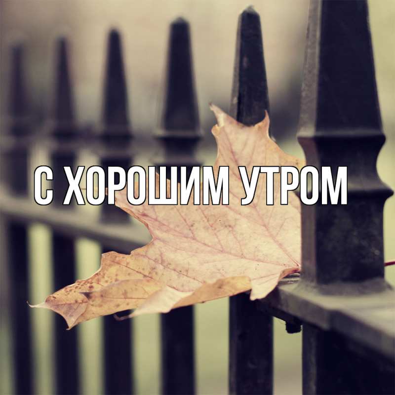 Картинка Скучашки, Трофим