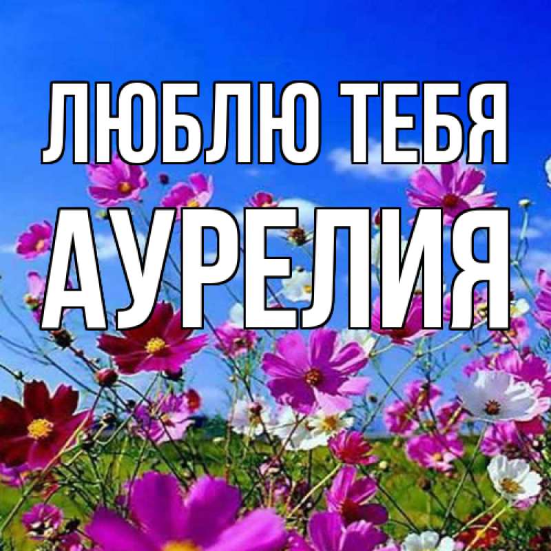 Картинка Люблю тебя, Аурелия