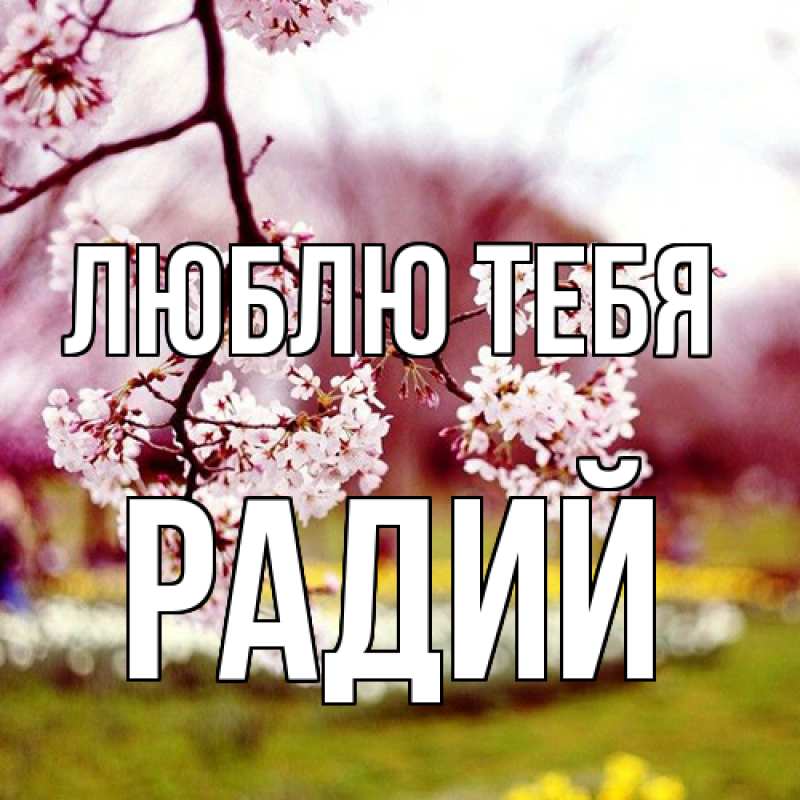 Картинка Люблю тебя, Радий