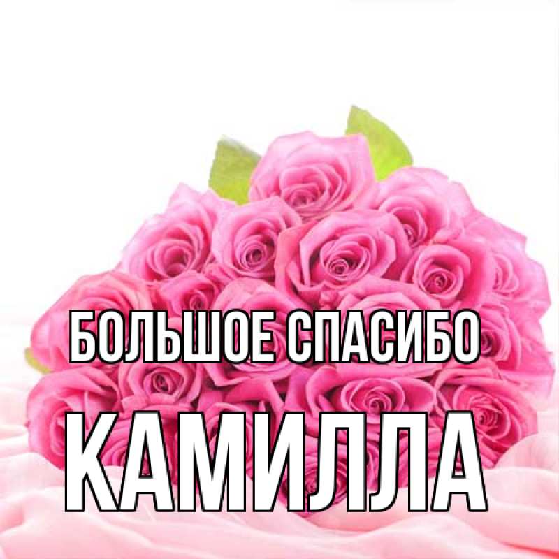 Открытка с именем, Камилла, Большое спасибо