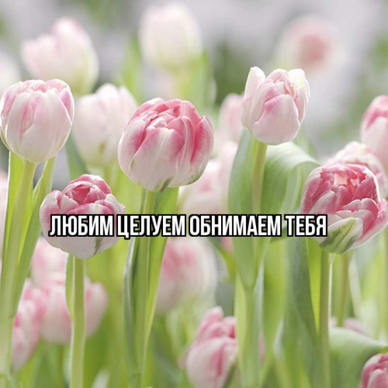 Картинка Люблю тебя, Ненаглядный мой