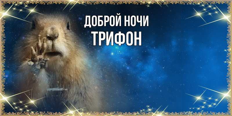 Картинка Доброй ночи, Трифон