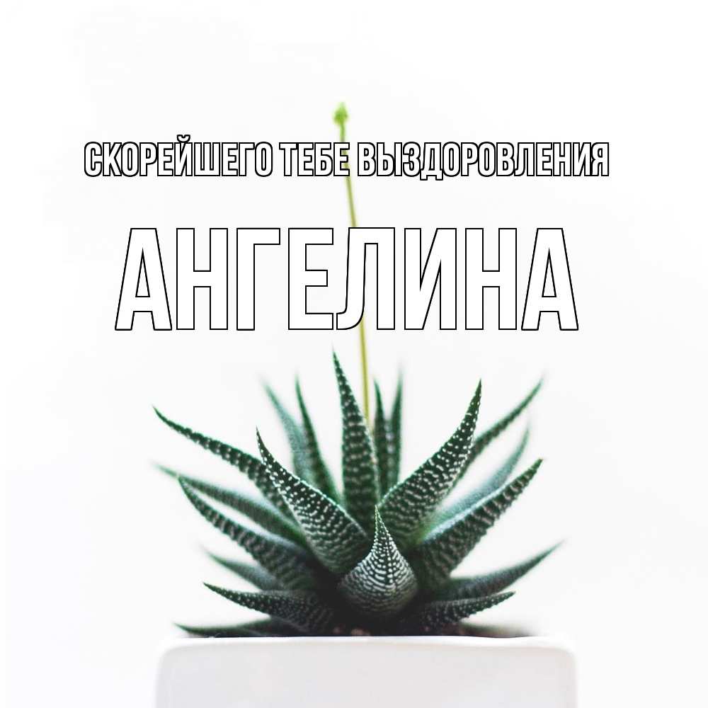 Открытка на каждый день с именем, Ангелина Скорейшего тебе выздоровления короче это непонятная колючка Прикольная открытка с пожеланием онлайн скачать бесплатно 