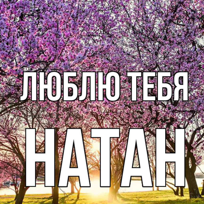Открытка с именем, Натан, Люблю тебя