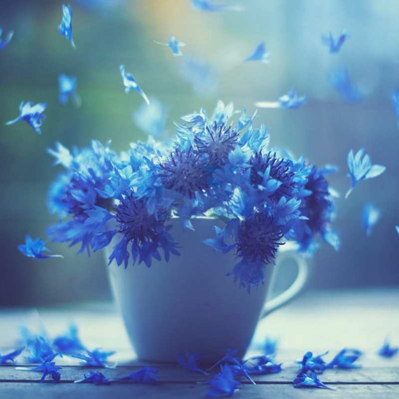 Картинка Скорейшего тебе выздоровления, Пимен