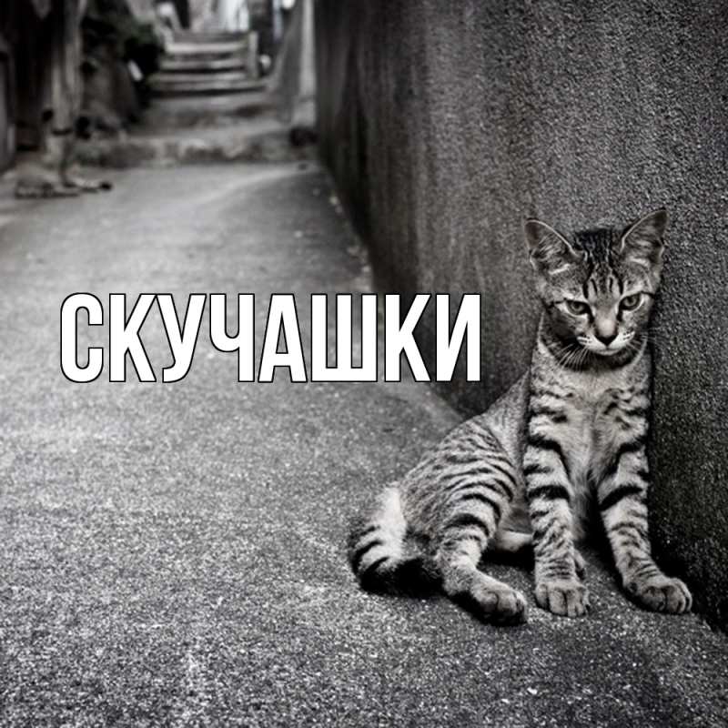 Картинка Скучашки, 