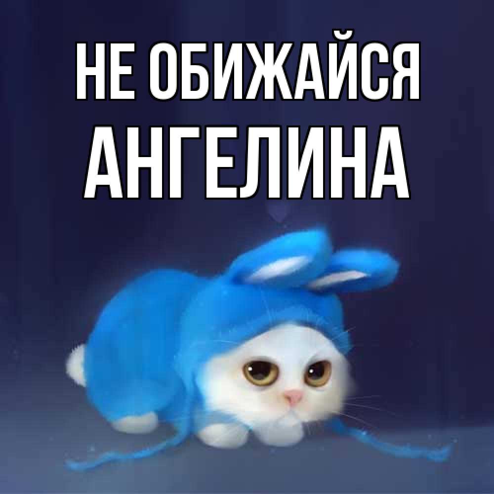 Открытка на каждый день с именем, Ангелина Не обижайся невинный котозай просит прощения Прикольная открытка с пожеланием онлайн скачать бесплатно 