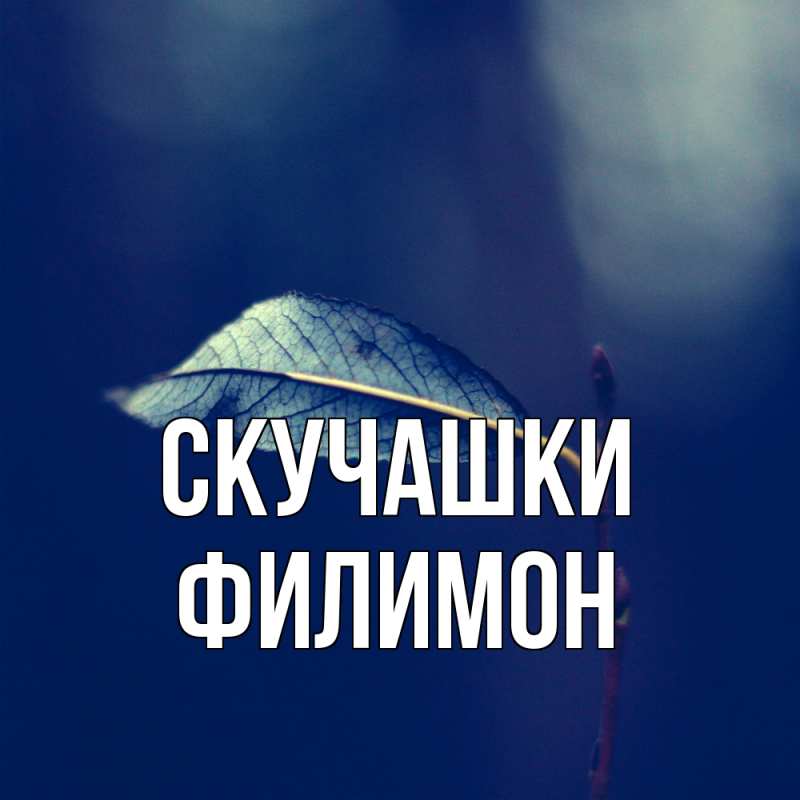 Картинка Скучашки, Филимон