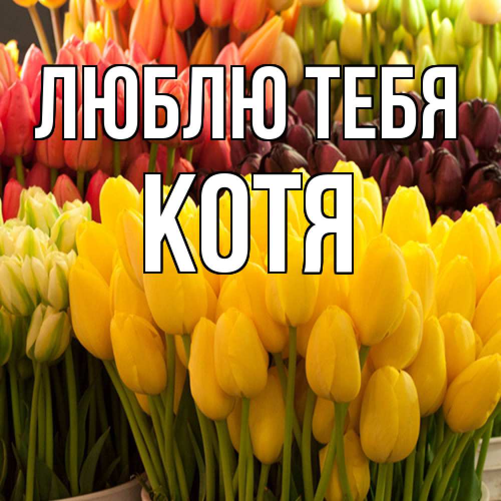 Открытка на каждый день с именем, Котя Люблю тебя цветы Прикольная открытка с пожеланием онлайн скачать бесплатно 