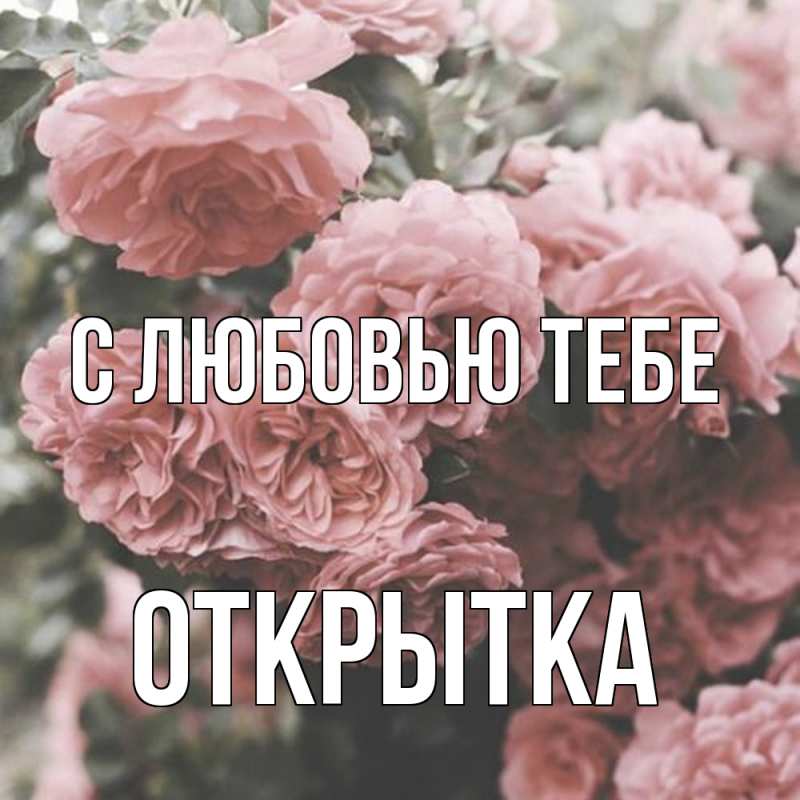 Картинка С любовью тебе, открытка