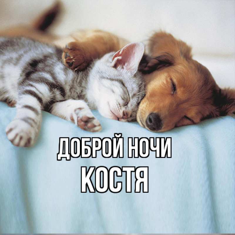 Картинка Доброй ночи, Костя